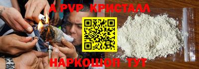 СК Дубна