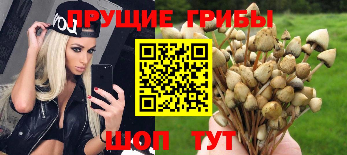Галлюциногенные грибы Magic Shrooms Евпатория