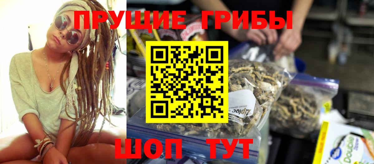 Евпатория  Псилоцибиновые грибы Psilocybine cubensis  Вход с VPN 